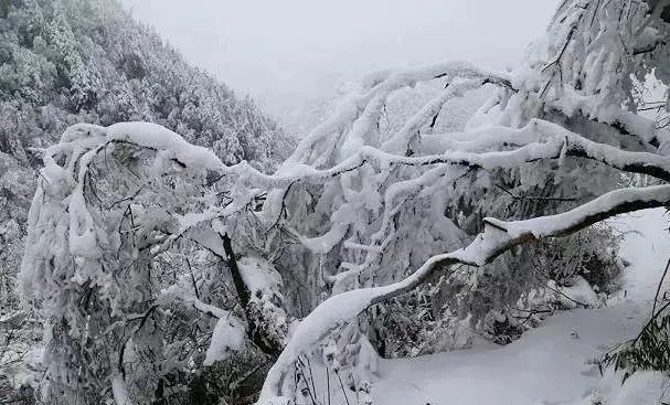 探秘幽深的历史隧道，重现风雨砥砺的传奇——阴平古道