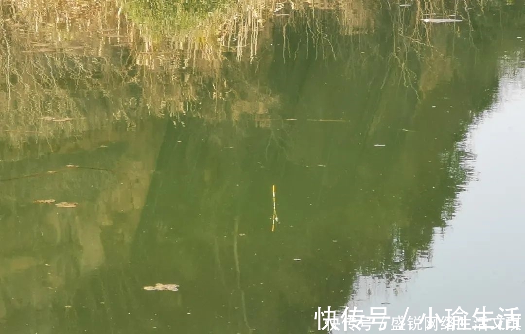 谁说钓鱼找底不重要?它的作用可不仅是为了调漂,绝不可省略