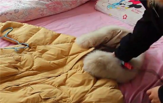 水洗过的羽绒服羽绒总是成坨？学会一招，5分钟羽绒蓬松起来