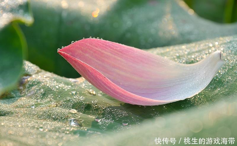 祛濕排毒，牢記2不吃、3吃，不僅可以趕走濕氣，身體也變得輕松