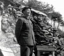 李成|连长见副司令,警卫不让进,连长怒喝我是他上级,快让他接我!