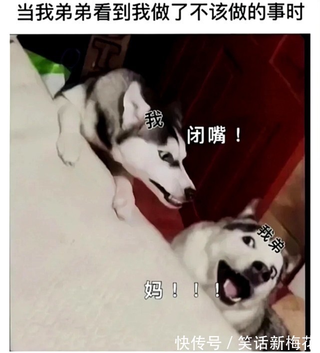 |搞笑趣图:机场里的女生VS机场里的男生……