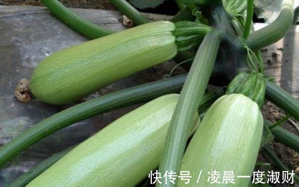 油麦菜|为什么医生建议，尽量少吃这6种蔬菜呢来瞧瞧看