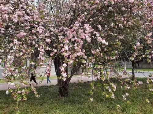 河师大首次招生！来看学霸级高校该有的样子