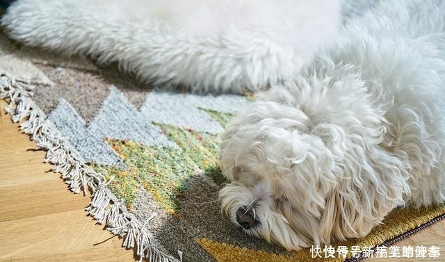 主卧室|看了这对夫妻的家,才知舍弃客厅有多爽,全屋简约时尚,一步一景!