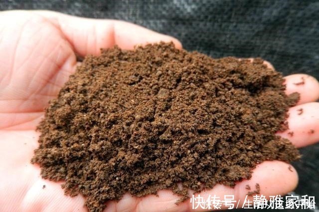 肥效|什么花生壳、柳树皮都不如这“2种肥”，盆里埋一点，养啥都爆盆！