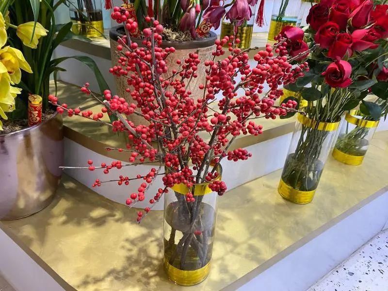 这样“年货”你备了吗？年宵花图鉴（下）请查收