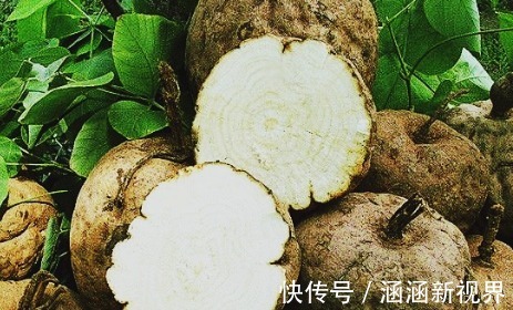 月经紊乱|食物中天然“黄体酮”，没事多吃点，食物辅助，补充身体所需