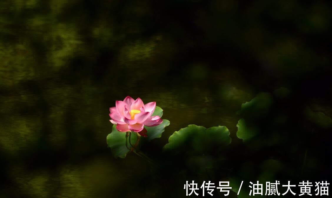 商人|佛说:财不可积,愈多愈散,绝对不能积,久积成病、久积成恶