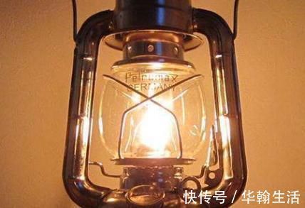 金银花|白开水泡是肝病“大克星”,养肝排毒祛湿,远离肝炎、肝硬