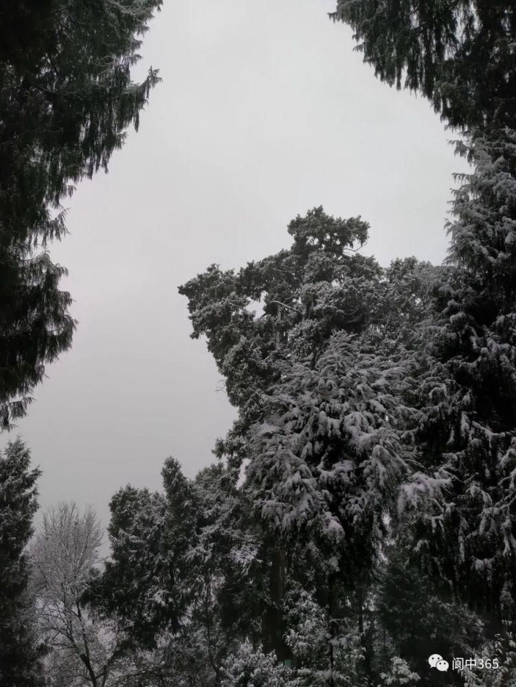 妙高镇金城山雪景图