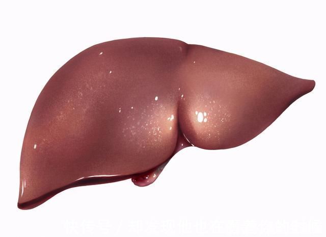 不良习惯|43岁女子,从肝硬化到肝功正常,医生常吃1物,肝脏慢慢柔软