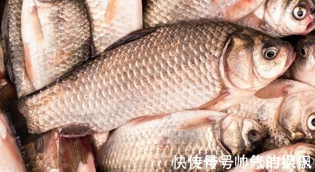 酒米|钓鱼时常用的酒米窝料,其实是可以这样生产的,制作方法简单易学