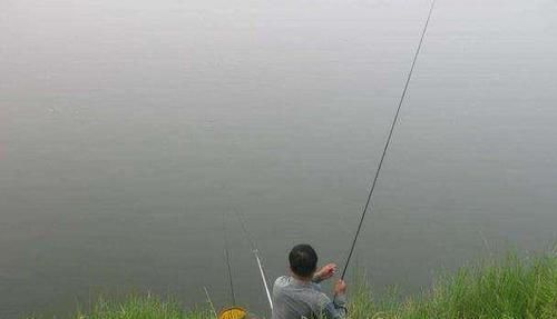 天一热,打窝后常无鱼咬钩,老钓友告诉你3个原因,记好只说一次