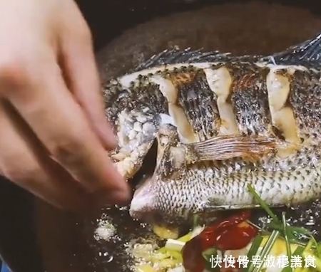 唯一让中国吃货退却的鱼营养比甲鱼高,全身是宝,只要4元一斤