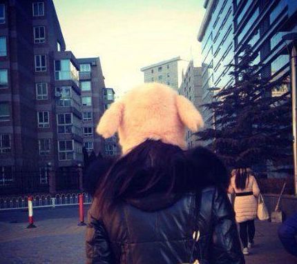 |搞笑GIF趣图:妹子,你就穿成这样躺着玩手机,心机够深的啊