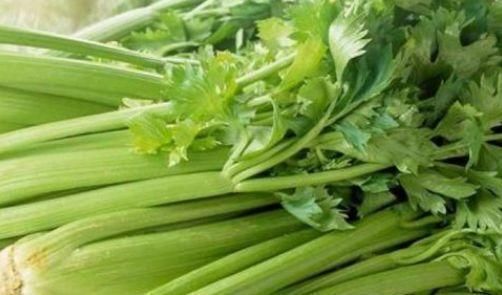 忠告|忠告：芹菜不能与此物同食，吃了就是没病找病，还有人傻傻不清楚