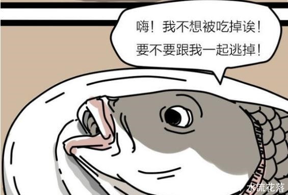 恶搞漫画把一条鱼和一只粽子关在一起，真的没事吗