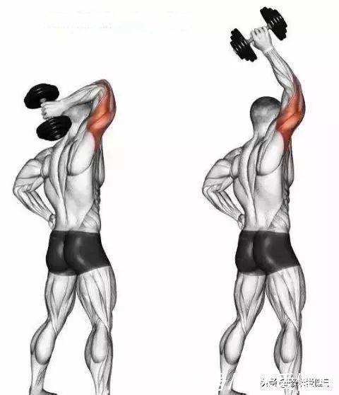 肱二头肌|美国肌肉帅哥身高2米，杠铃深蹲180公斤，4个动作提升手臂围度