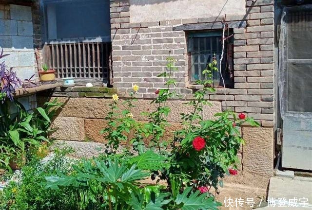 掖县|胶东乡村记忆:掖县老家院墙上的青石,是爷爷留下来的