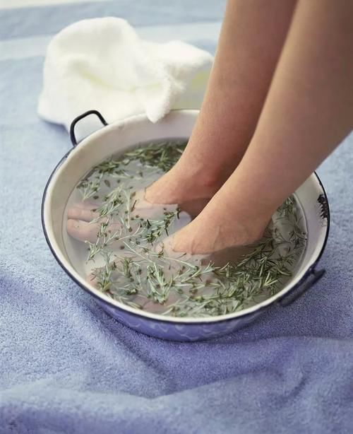 热水泡脚|小小艾草治大病