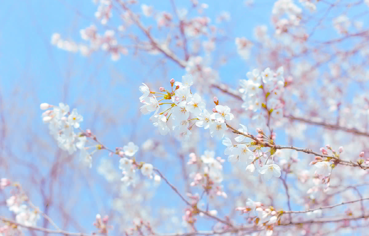 金牛座|要说十二星座中,偏财运最好的,谁都比不上他们