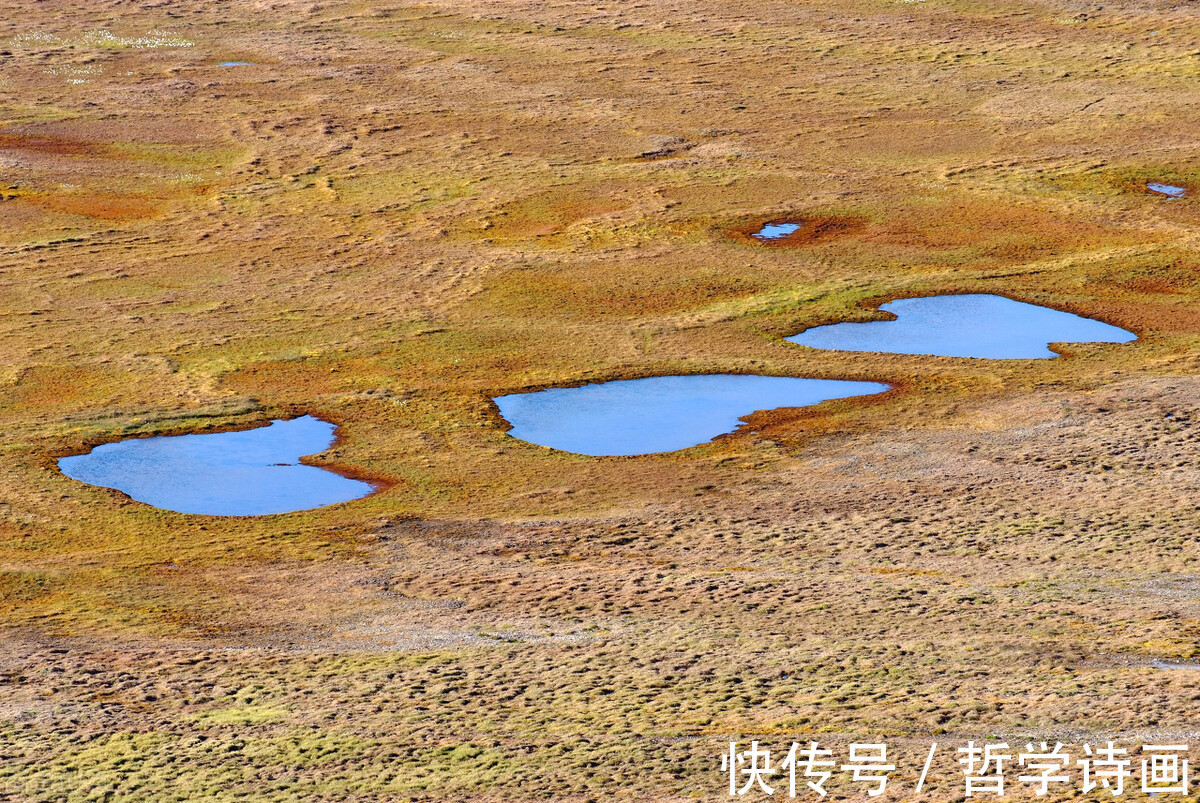 智慧!什么是哲学?此文给你最好的解读,不服来辩