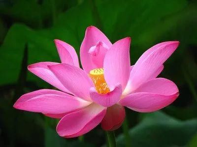 4种衬衫的搭配配色，让你美过整个春天，再不用羡慕别人穿衬衫好看了