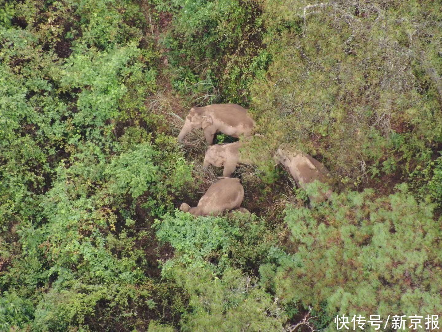 夕阳乡|新闻8点见丨社论：自信赴考，不负青春与时代