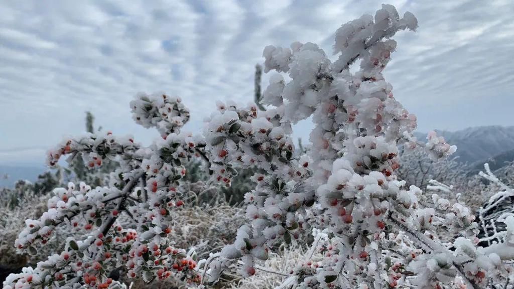 下雪天，凯里小高山的风景好美哦！