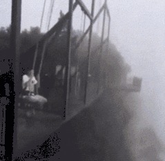 |搞笑GIF:好奇害死猫啊,而且还容易招打,哈哈哈