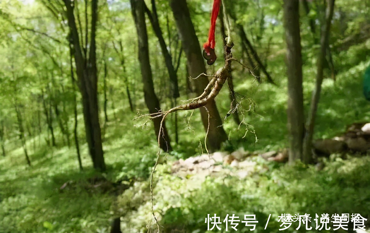 患者|放屁多是肝硬化前兆放屁程度越高,病情越严重