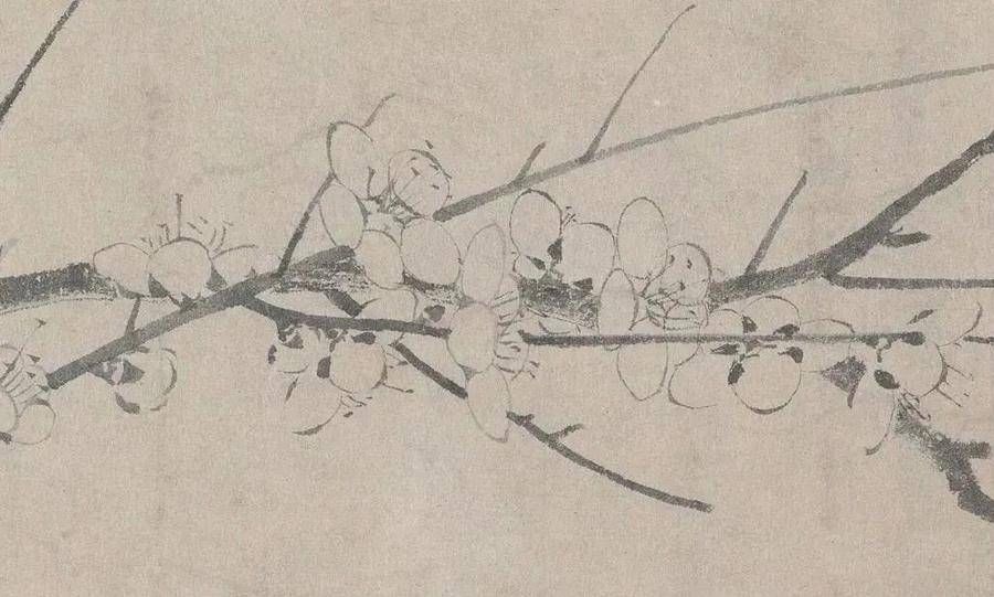 鉴赏$鉴赏|一“简”梅,极尽朴素的美