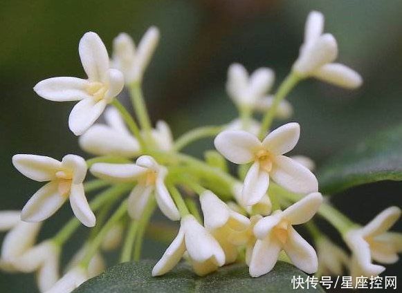 农历|谁的生日是农历此3个月,福气大,贵人多,总能逢凶化吉笑到最后