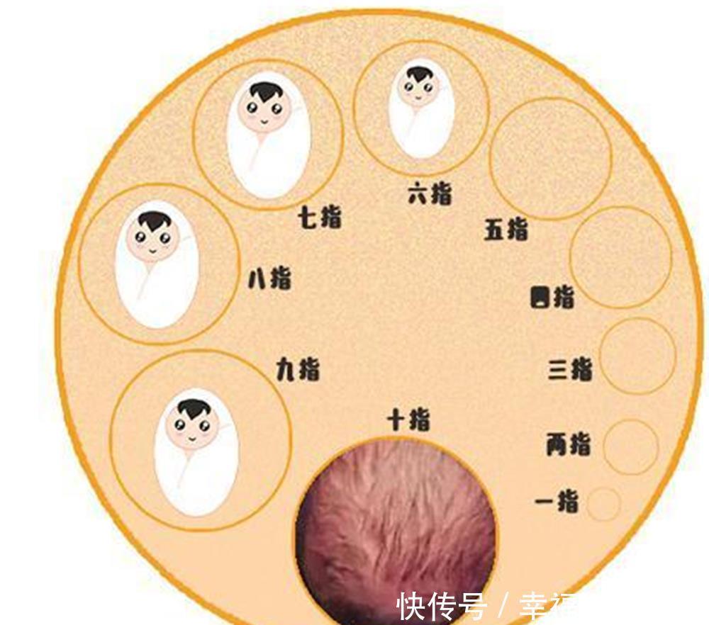 指才|顺产时“开三指”最疼？就连无痛都要等到三指才打针，看完长见识