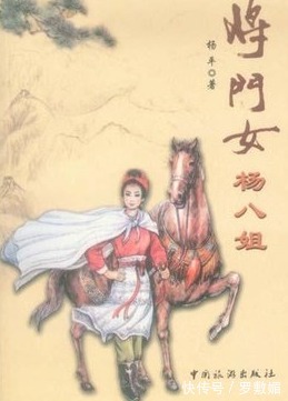 侬智高&杨家将之杨文广:他在历史上真实存在,杨门女将也确有历史原型