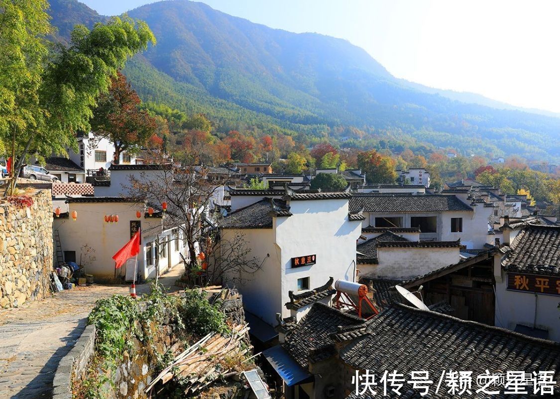 塔川|古村改造的标杆，乌桕树成了摇钱树，赏秋胜地闻名全国