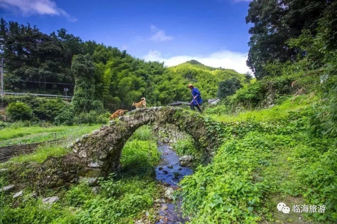 小众|临海这座始自明朝的古村，小众又貌美 赴一份隐世而居的邀约吧