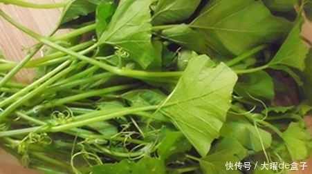 虚劳内热|提个醒,此菜叶子能治胃痛、去结石、助戒烟!很多人还不清楚