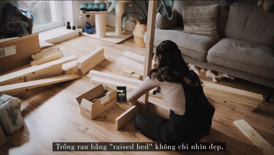 德国主妇将8㎡阳台打造成菜园，不花一分钱种够全家吃的菜