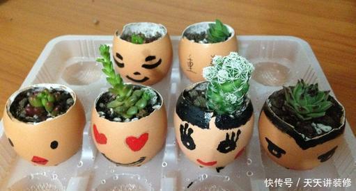 根系|你丢掉的鸡蛋壳,我用来养花,直接碾碎就能用,根系又粗又壮!