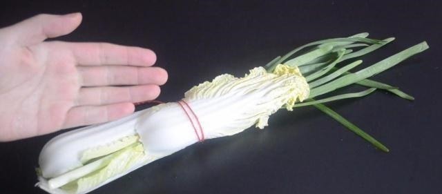 根部|吃不完的韭菜,放冰箱就错了,菜农教我土方法,放10天照样新鲜