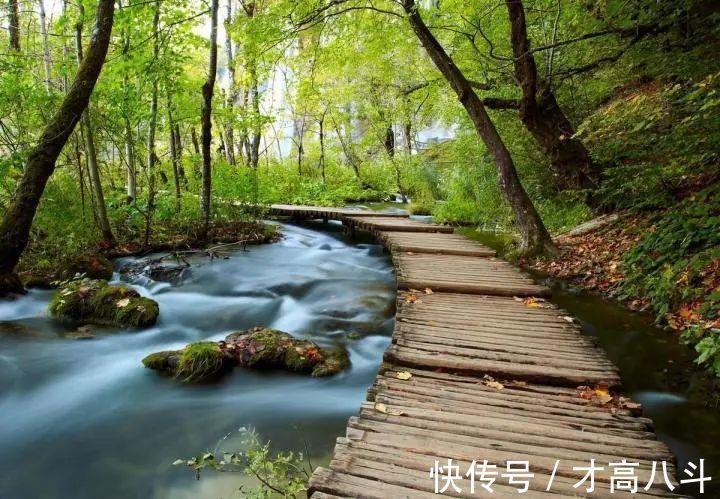 蛙声#辛弃疾的一首词,把一个寻常场景,写成了千古佳作