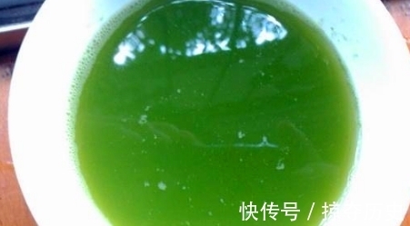 蚯蚓粪|大豆、蚯蚓粪养花，都比不上此“溶液”，半月浇一次，疯长不止！