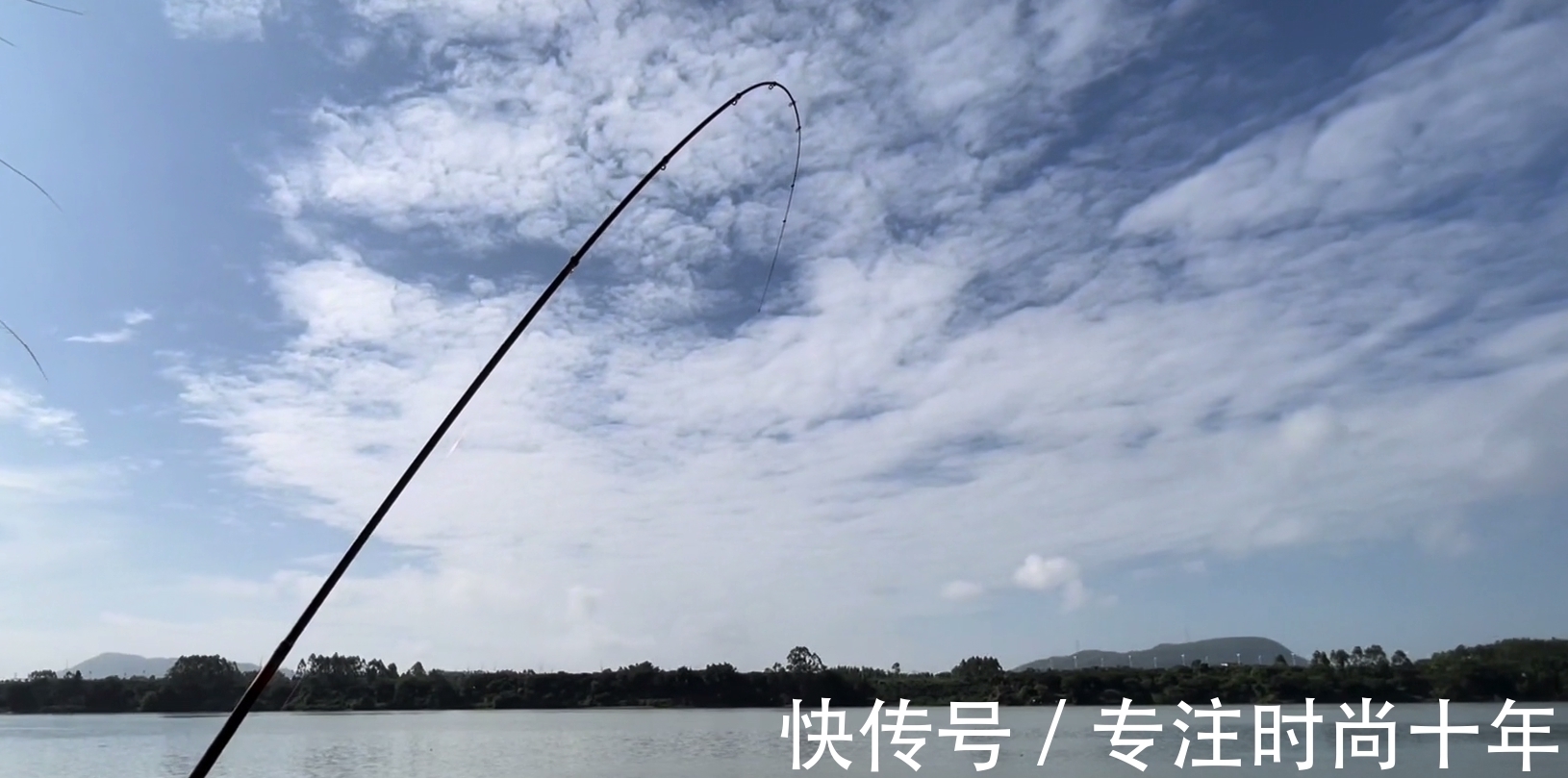 可惜!小伙东江钓了条大青鱼,有人3000预定,结果人没到鱼就死了