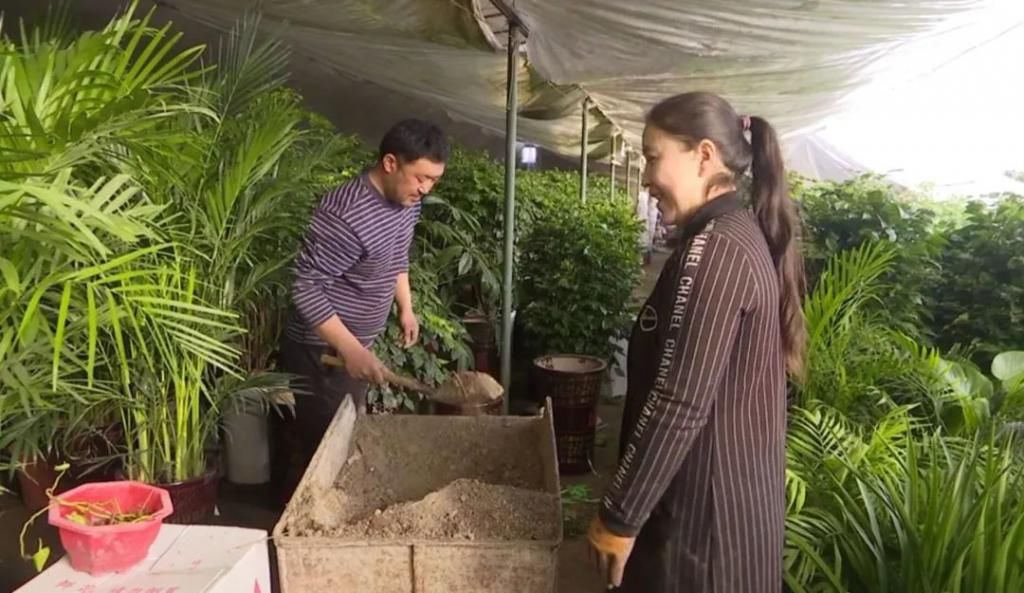 春天在传递幸福的花房里