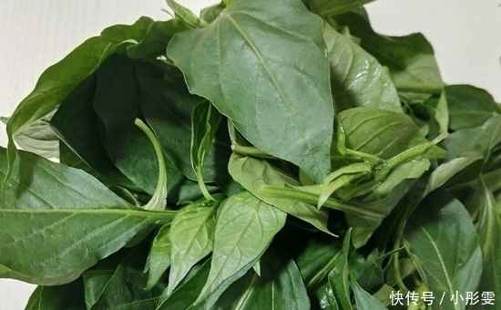 食欲|鸡蛋和它才是天生一对，每周吃1次，祛湿健脾胃，食欲也增强了