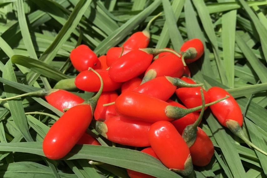 睡眠时间|揭秘医生为何很少患癌“3件事”他们从来不碰