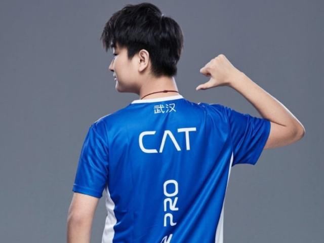 cat|盘点KPL四位被封神的选手！梦泪、cat上榜，他却无人能超越