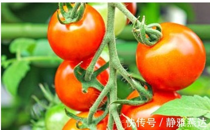 维生素c|女性不想变黄脸婆,要多吃几种食物,排毒养颜,美白祛斑,抗衰老